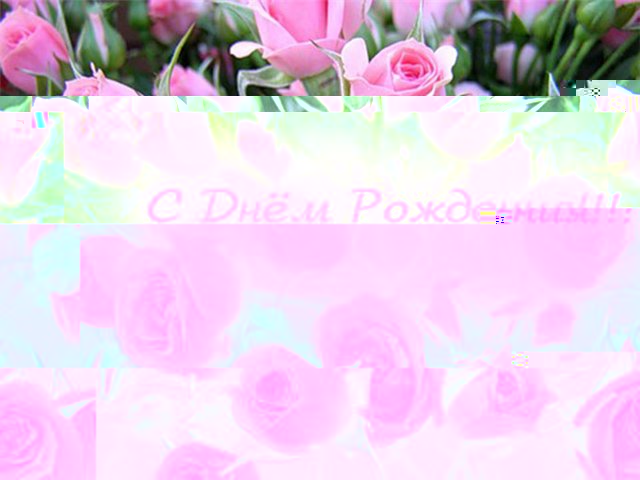 92575907_roz8.JPG