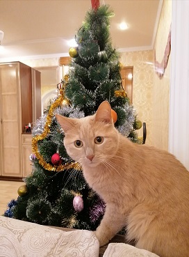 29.12.21.jpg